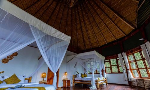 kibale lodge 2